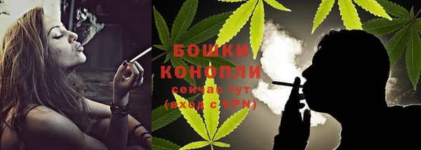 дмт Кинешма