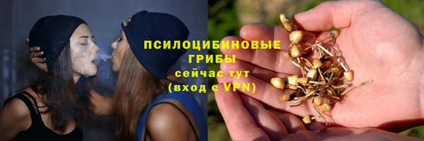 спайс Кодинск