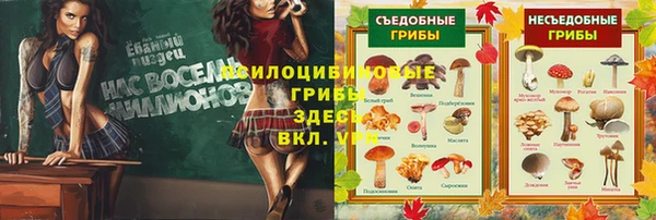 МДМА Козельск
