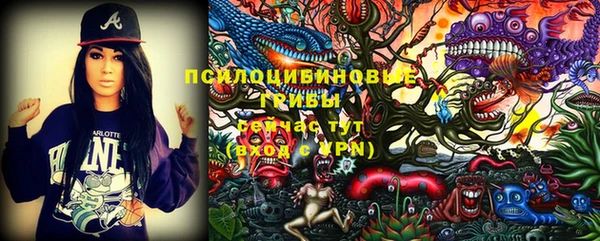 mdpv Коряжма