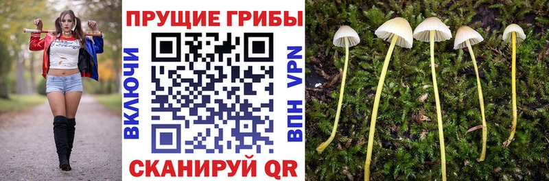 кракен онион  Котовск  Галлюциногенные грибы MAGIC MUSHROOMS 